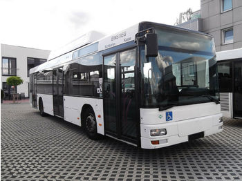 Міський автобус MAN A21  CNG: фото 1