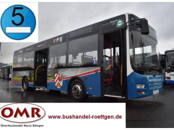 Міський автобус MAN A66 / Midi/ A47 / O 530 / EEV: фото 1