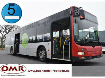 Міський автобус MAN A 37 Lion´s City /A20/A21/530/Citaro/EEV: фото 1