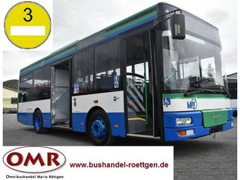 Міський автобус MAN A 76 / A 47 / A 66 / O 530 / Midi: фото 1