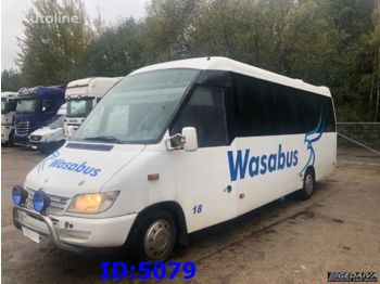 Мікроавтобус, Пасажирський фургон MERCEDES-BENZ Sprinter 616 - VIP: фото 1