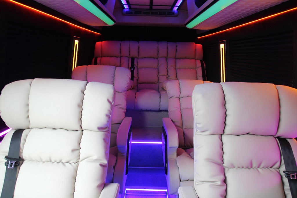 Мікроавтобус, Пасажирський фургон Mercedes-Benz Sprinter 313  VIP Shuttle 9 Pers. Luxury TV LED: фото 14
