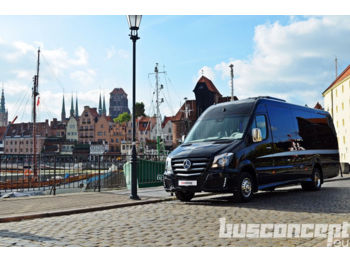 Новий Мікроавтобус, Пасажирський фургон Mercedes-Benz Sprinter 519 XXL Panorama 21 Sitze-Black Series: фото 1