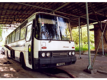 IKARUS 250.59 - Туристичний автобус