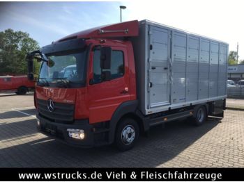 Фургон з закритим кузовом Для транспортування тварин Mercedes-Benz 821L" Neu" WST Edition" Menke Einstock Vollalu: фото 1