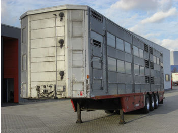 Pezzaioli SBA63U / 3 Achsen / BPW-Achsen / 3 Stock  - Для перевезення худоби напівпричіп