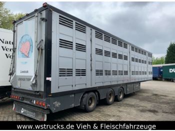Для перевезення худоби напівпричіп Menke 3 Stock Lenk Lift Typ2 Lüfter Dusche Tränk: фото 1