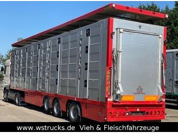 Для перевезення худоби напівпричіп Menke 4 Stock Lenk Lift Typ2 Lüfter Dusche Tränk: фото 1