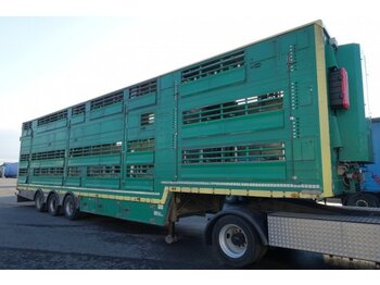 Для перевезення худоби напівпричіп Pezzaioli SBA32/U, 3 Stock , Viehtransporter  , Tränkeranlage,: фото 1