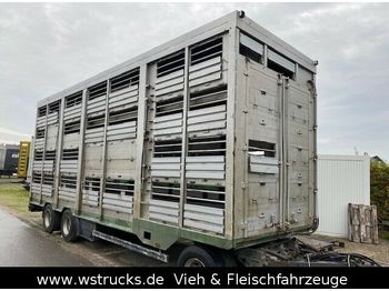 Для перевезення худоби причіп Köpf 3 Stock 8,00m