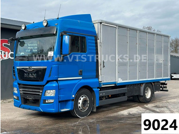 Для перевезення худоби вантажівка MAN TGX 18.500