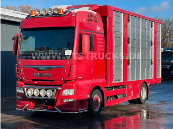 Для перевезення худоби вантажівка MAN TGX 18.580