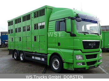 Для перевезення худоби вантажівка MAN TGX 26.480