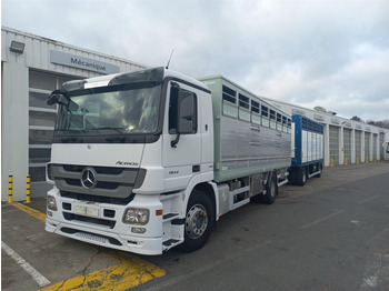 Для перевезення худоби вантажівка MERCEDES-BENZ Actros