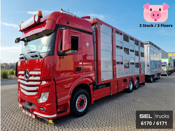 Для перевезення худоби вантажівка MERCEDES-BENZ Actros