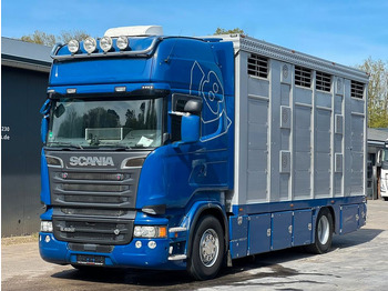 Для перевезення худоби вантажівка SCANIA R 520