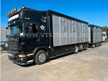 Для перевезення худоби вантажівка SCANIA R 730
