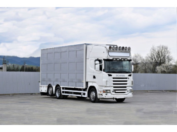 Для перевезення худоби вантажівка SCANIA R 500