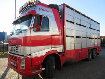 Для перевезення худоби вантажівка VOLVO FH12