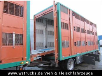 Для перевезення худоби вантажівка DAF CF85/460 Spacecup Menke 3 Stock: фото 1