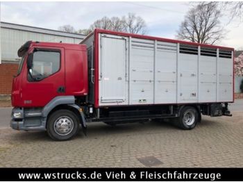 Для перевезення худоби вантажівка DAF LF 55 Einstock Köpf: фото 1