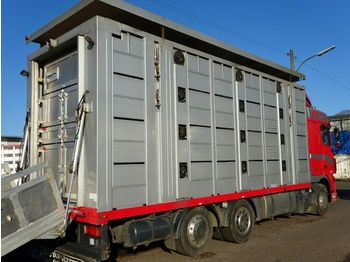 Для перевезення худоби вантажівка DAF XF105/460 Spacecup Menke 4 Stock: фото 1