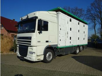 Для перевезення худоби вантажівка DAF XF 105/460 SSC Menke 3 Stock Hubdach: фото 1