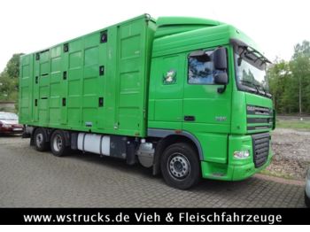 Для перевезення худоби вантажівка DAF XF 105/460 SSC Menke 3 Stock Vollalu: фото 1
