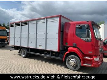 Для перевезення худоби вантажівка DAF LF 55 Einstock Köpf