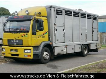 Для перевезення худоби вантажівка MAN 15.220 Menke Einstock