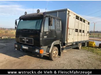 Для перевезення худоби вантажівка MAN 8.224 mit Enstock Alu