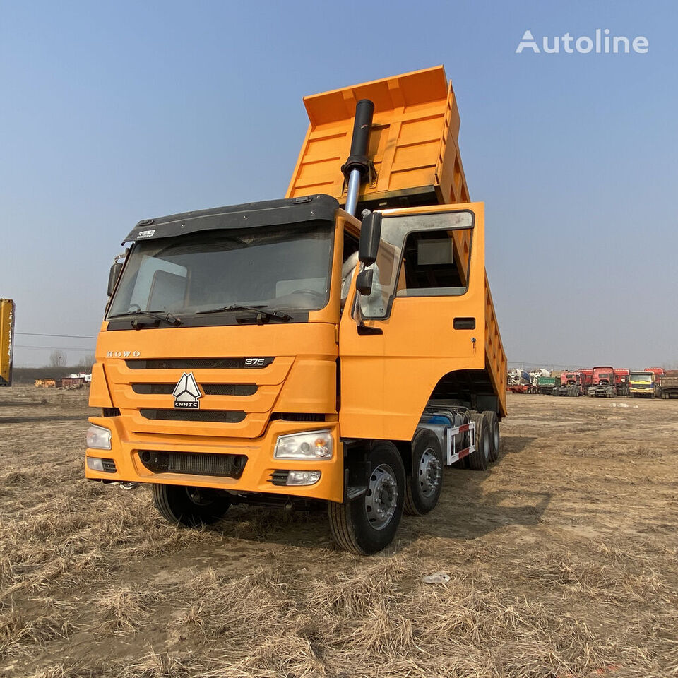Самоскид вантажівка HOWO Sinotruk 8x4 drive 12 wheels tipper truck 375 yellow color: фото 2
