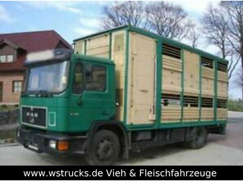 Для перевезення худоби вантажівка MAN 14232  KABA Doppelstock: фото 1