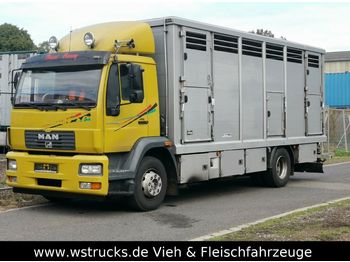 Для перевезення худоби вантажівка MAN 15.220 Menke Einstock: фото 1