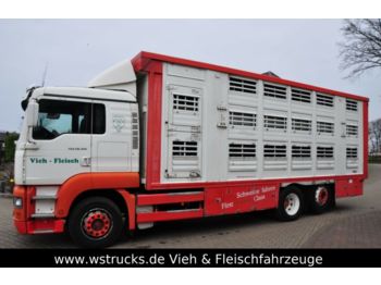 Для перевезення худоби вантажівка MAN TGA 26.350 Finkl Aufbau: фото 1