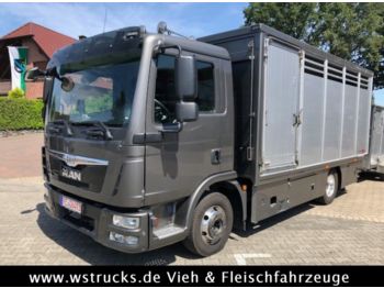Для перевезення худоби вантажівка Для транспортування тварин MAN TGL 8.250 BL mit Finkl Einstock: фото 1
