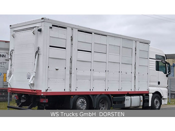 MAN TGX 26.440 FG 6x2  Menke Janzen 3 Stock  - Для перевезення худоби вантажівка: фото 4