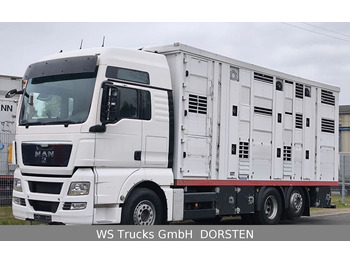 MAN TGX 26.440 FG 6x2  Menke Janzen 3 Stock  - Для перевезення худоби вантажівка: фото 1