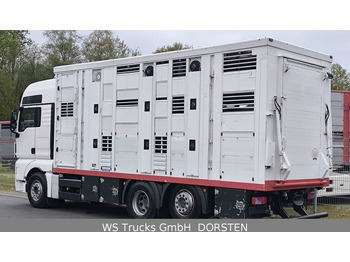 MAN TGX 26.440 FG 6x2  Menke Janzen 3 Stock  - Для перевезення худоби вантажівка: фото 3