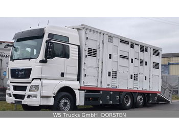 MAN TGX 26.440 FG 6x2  Menke Janzen 3 Stock  - Для перевезення худоби вантажівка: фото 5