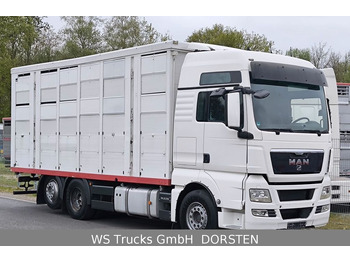 MAN TGX 26.440 FG 6x2  Menke Janzen 3 Stock  - Для перевезення худоби вантажівка: фото 2
