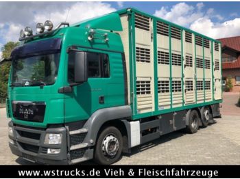 Для перевезення худоби вантажівка MAN TGX 26.440 LXL Menke   3 Stock Vollalu: фото 1