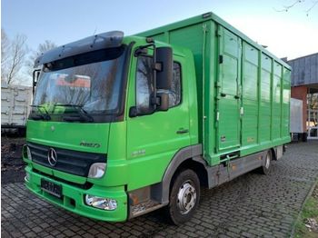 Для перевезення худоби вантажівка Mercedes-Benz 818 L Menke Einstock Vollalu: фото 1