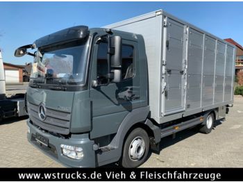 Для перевезення худоби вантажівка Для транспортування тварин Mercedes-Benz 821L" Neu" WST Edition" Menke Einstock Vollalu: фото 1