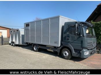 Для перевезення худоби вантажівка Для транспортування тварин Mercedes-Benz 821L" Neu" WST Edition" Menke Einstock Vollalu: фото 1