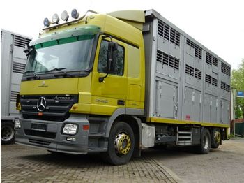 Для перевезення худоби вантажівка Mercedes-Benz Actros  2548  KABA 3 Stock Vollalu  Lüfter: фото 1