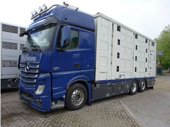 Для перевезення худоби вантажівка Mercedes-Benz Actros  2551 Menke 4 Stock Vollalu Hubach: фото 1