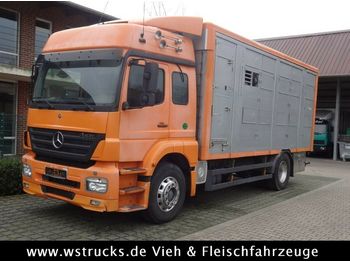 Для перевезення худоби вантажівка Mercedes-Benz  Axor 1833 2 Stock Michieletto: фото 1