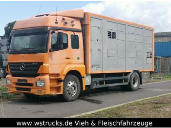 Для перевезення худоби вантажівка Mercedes-Benz Axor 1833 2 Stock Michieletto: фото 1