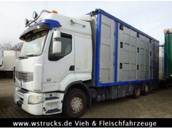 Для перевезення худоби вантажівка Renault 450 DXI  Menke 3 Stock Hubdach: фото 1